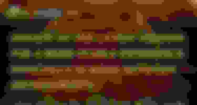 bg-0
